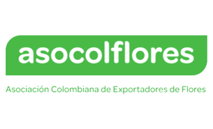 Logo cliente
